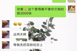 当阳要账公司更多成功案例详情